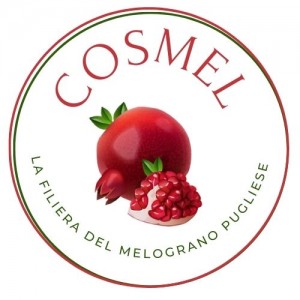 logo-cosmel