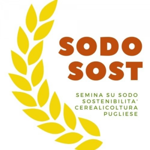 logo-sodosost