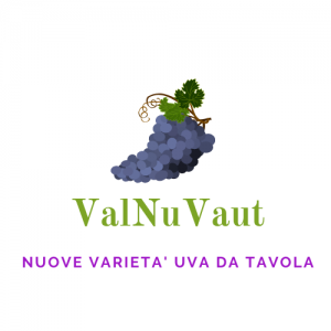 logo-valnuvaut